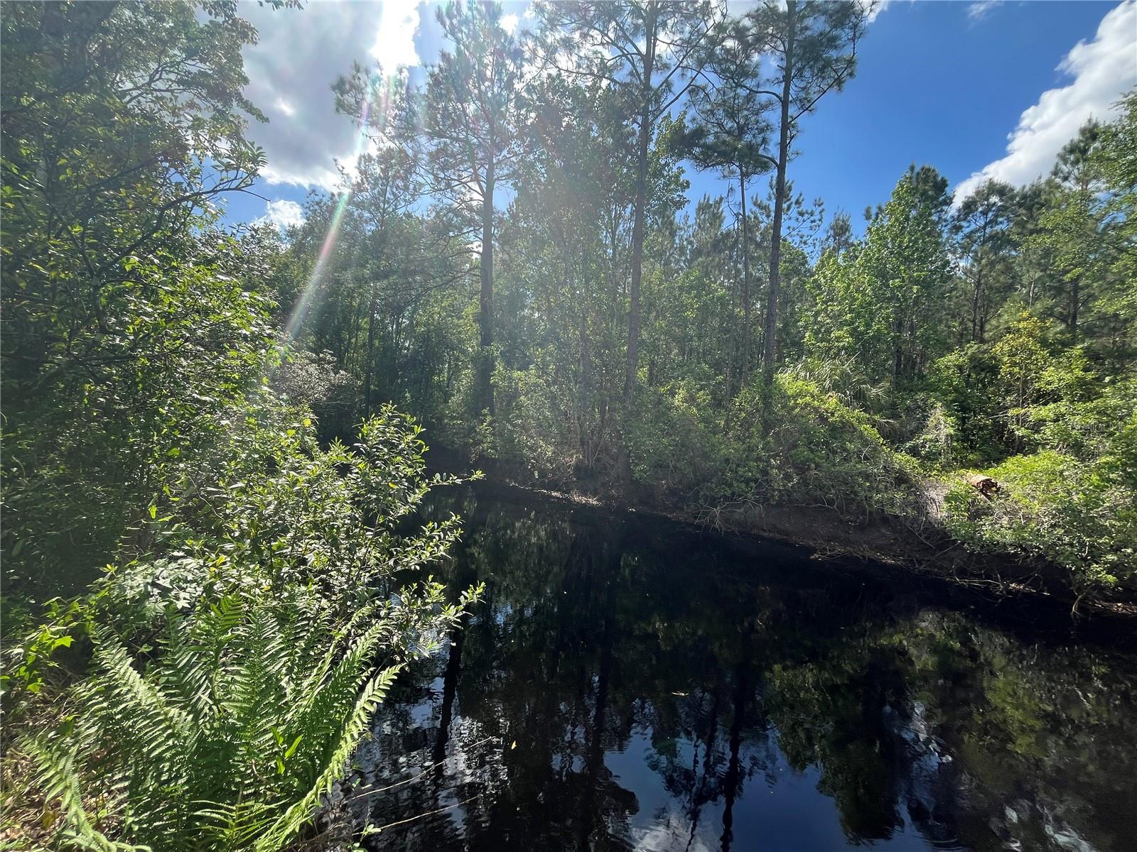115 COVE RD, SATSUMA, FL, 32189