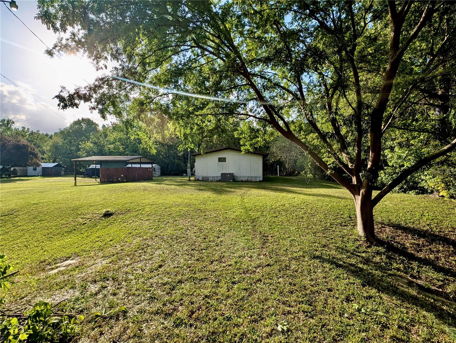 115 COVE RD, SATSUMA, FL, 32189