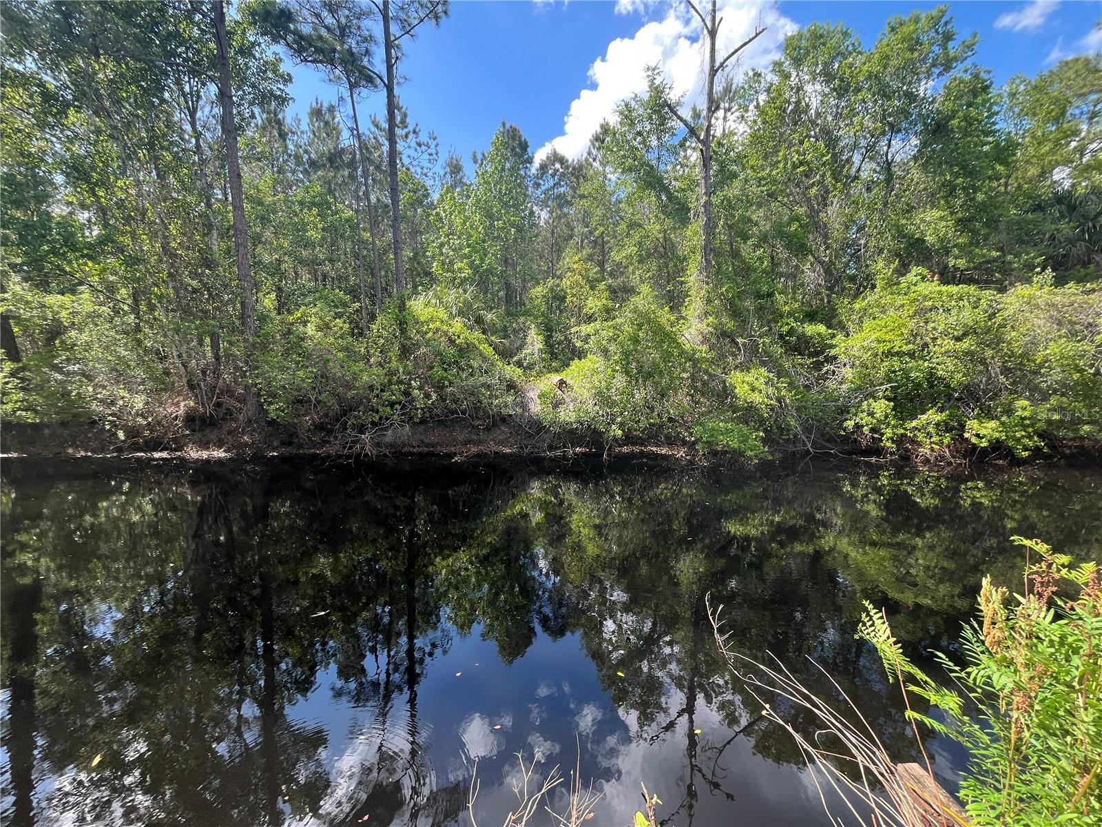 115 COVE RD, SATSUMA, FL, 32189
