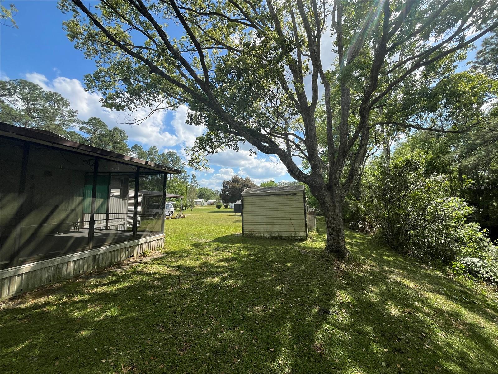 115 COVE RD, SATSUMA, FL, 32189