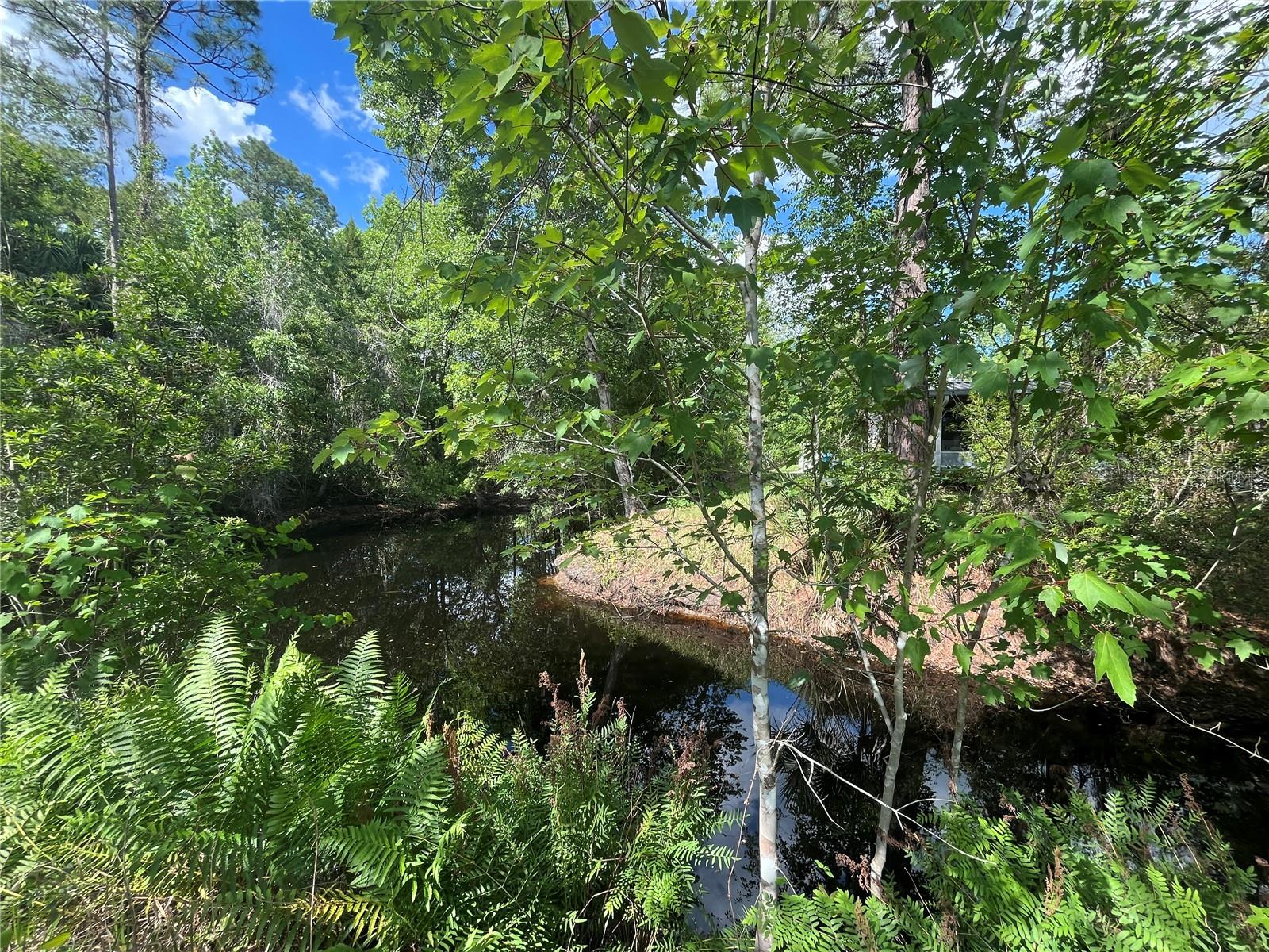 115 COVE RD, SATSUMA, FL, 32189