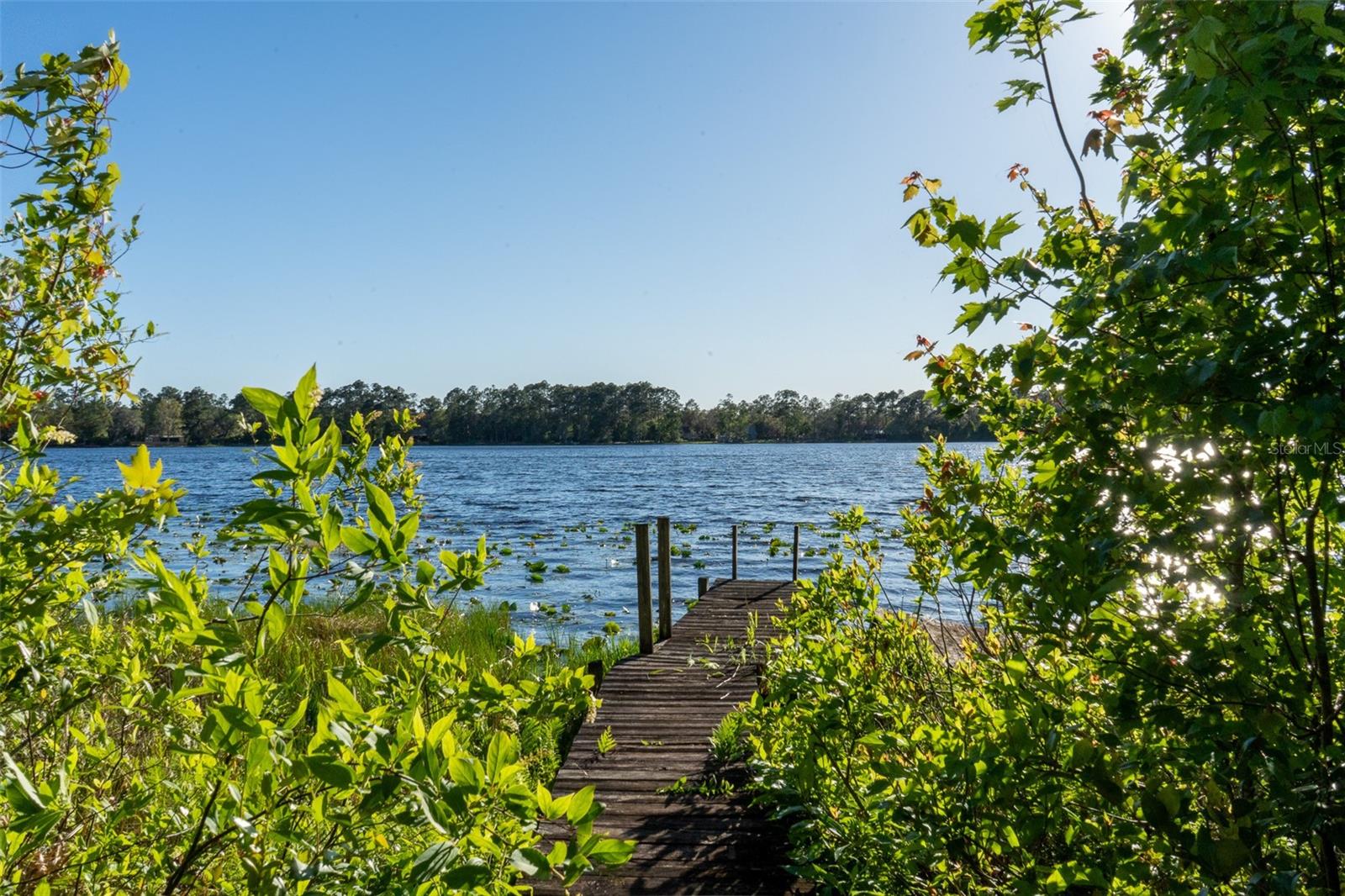 147 RILEY LAKE DR, HAWTHORNE, FL, 32640