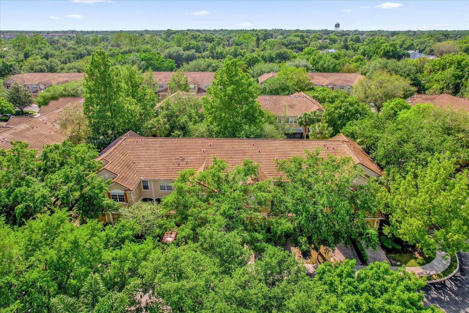 6866 SLAVEN DR, ORLANDO, FL, 32819