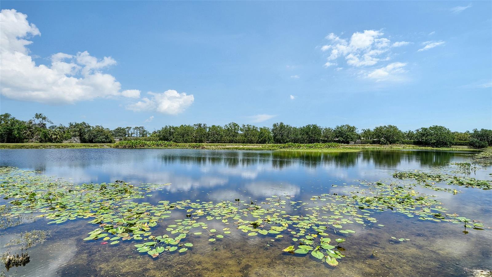 5939 SANDSTONE AVE, SARASOTA, FL, 34243