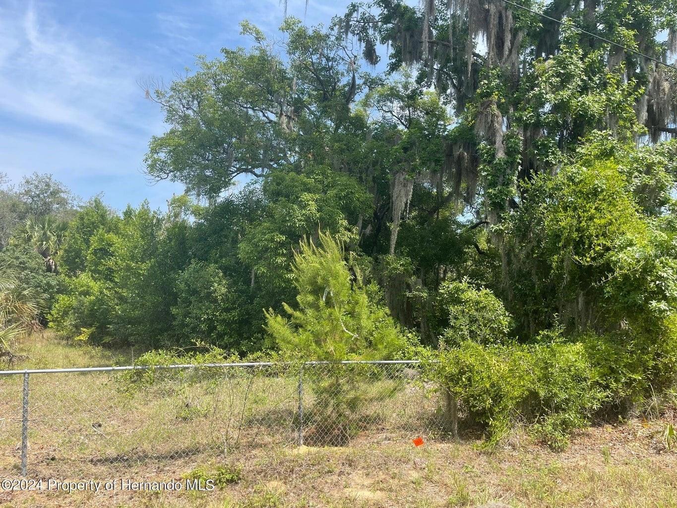 5180 PACIFIC AVE, WEEKI WACHEE, FL, 34607