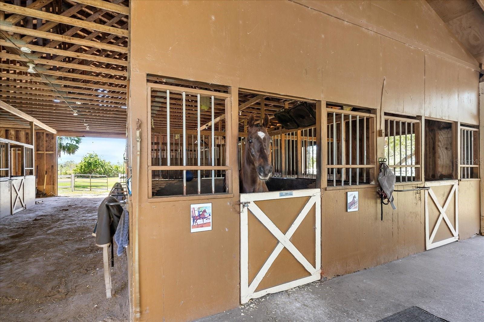 A4647903 Property Photo