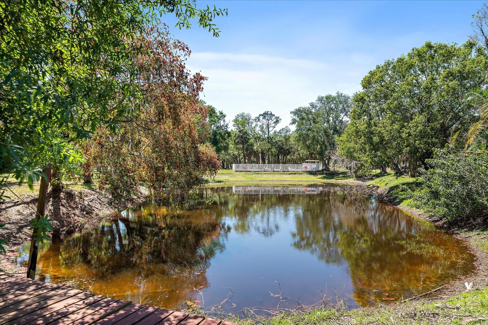 A4647903 Property Photo