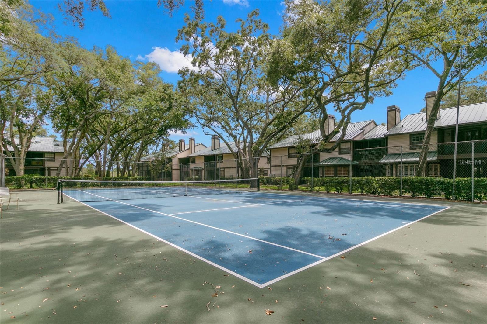 1490 MAHOGANY LN #706, PALM HARBOR, FL, 34683
