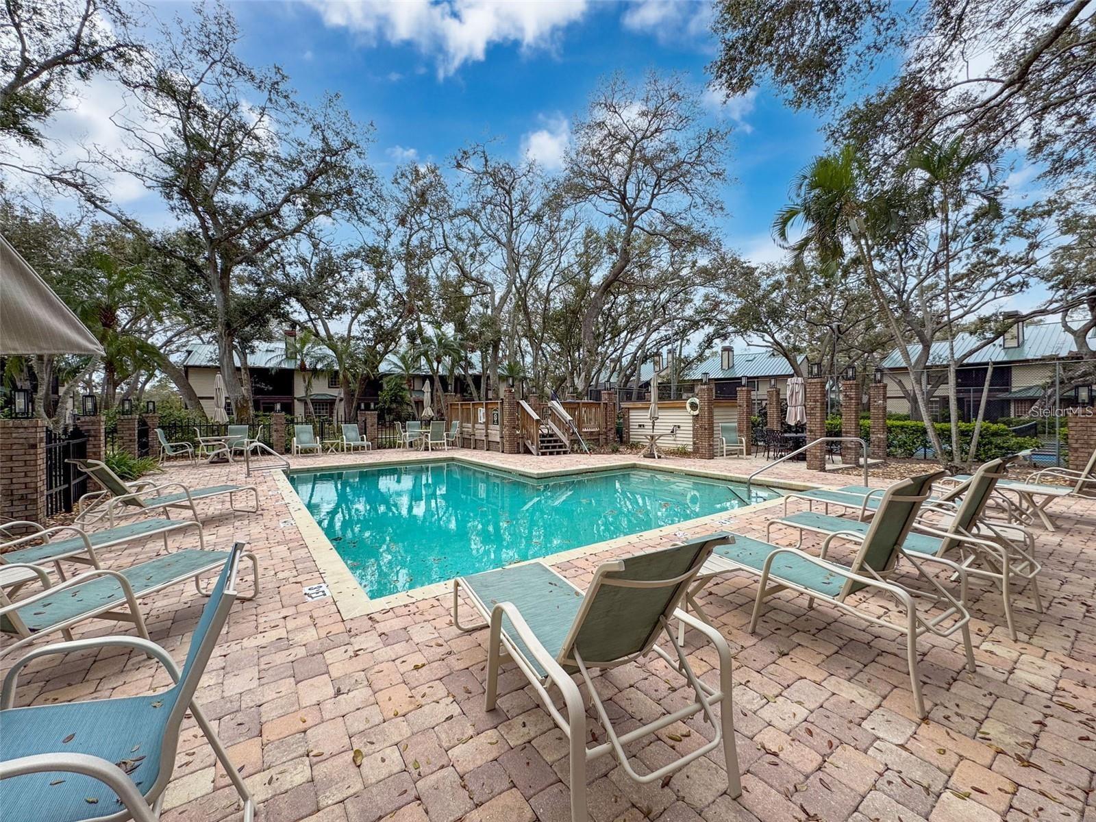 1490 MAHOGANY LN #706, PALM HARBOR, FL, 34683