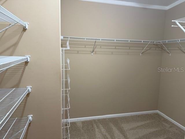 4851 W GANDY BLVD #B09L23, TAMPA, FL, 33611
