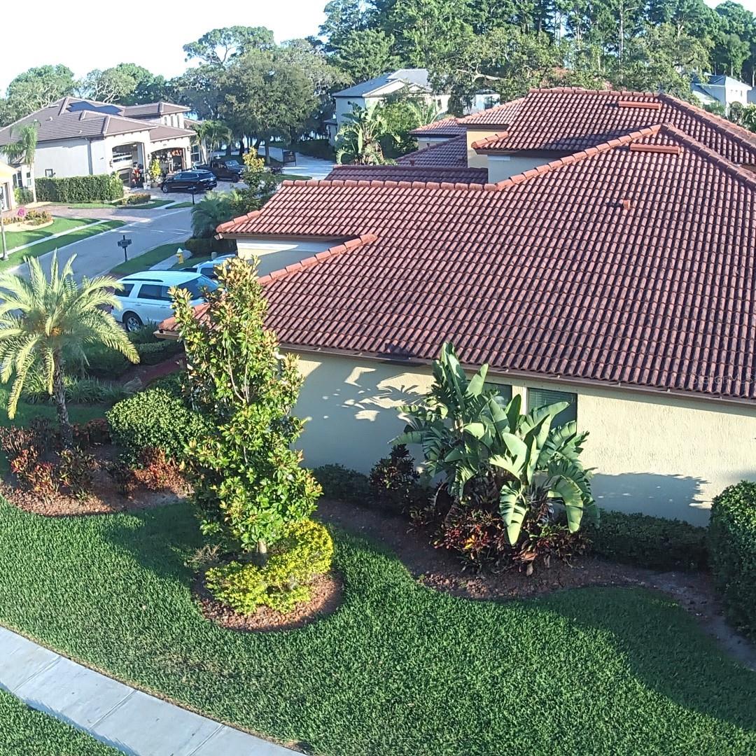4622 GRAND LAKESIDE DR, PALM HARBOR, FL, 34684