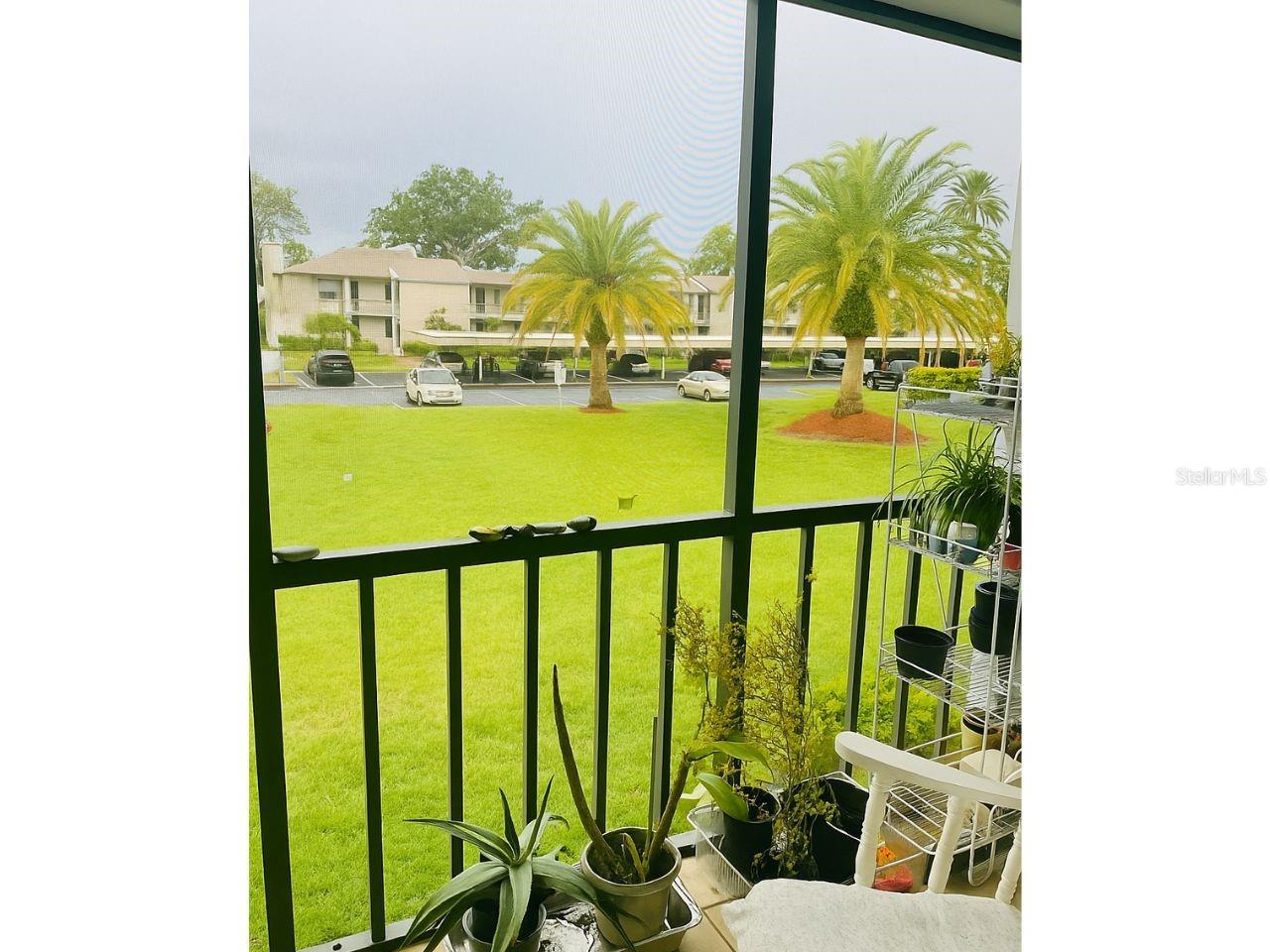 108 NINA WAY #3, OLDSMAR, FL, 34677