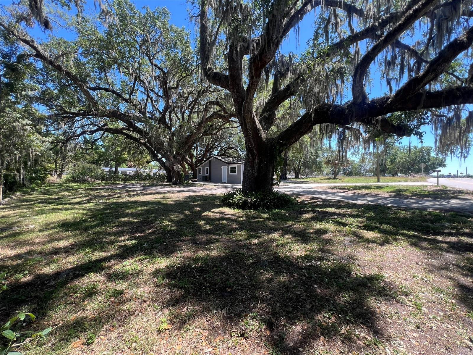 180 OLD CONNERSVILLE RD, BARTOW, FL, 33830