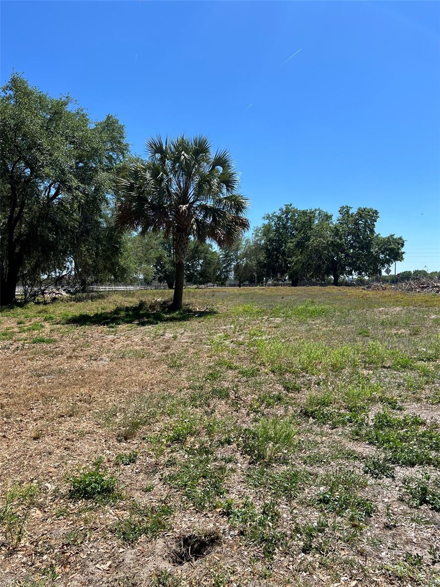 180 OLD CONNERSVILLE RD, BARTOW, FL, 33830