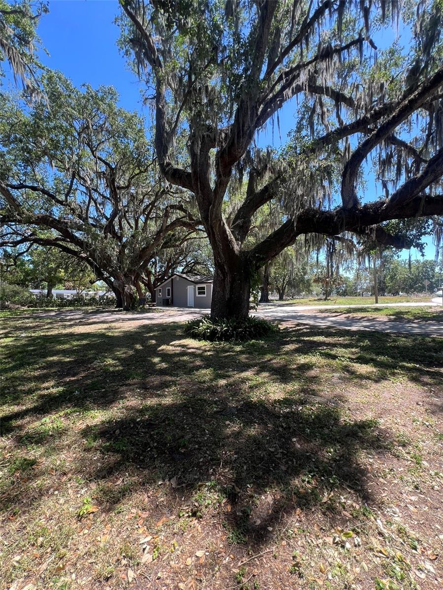 180 OLD CONNERSVILLE RD, BARTOW, FL, 33830