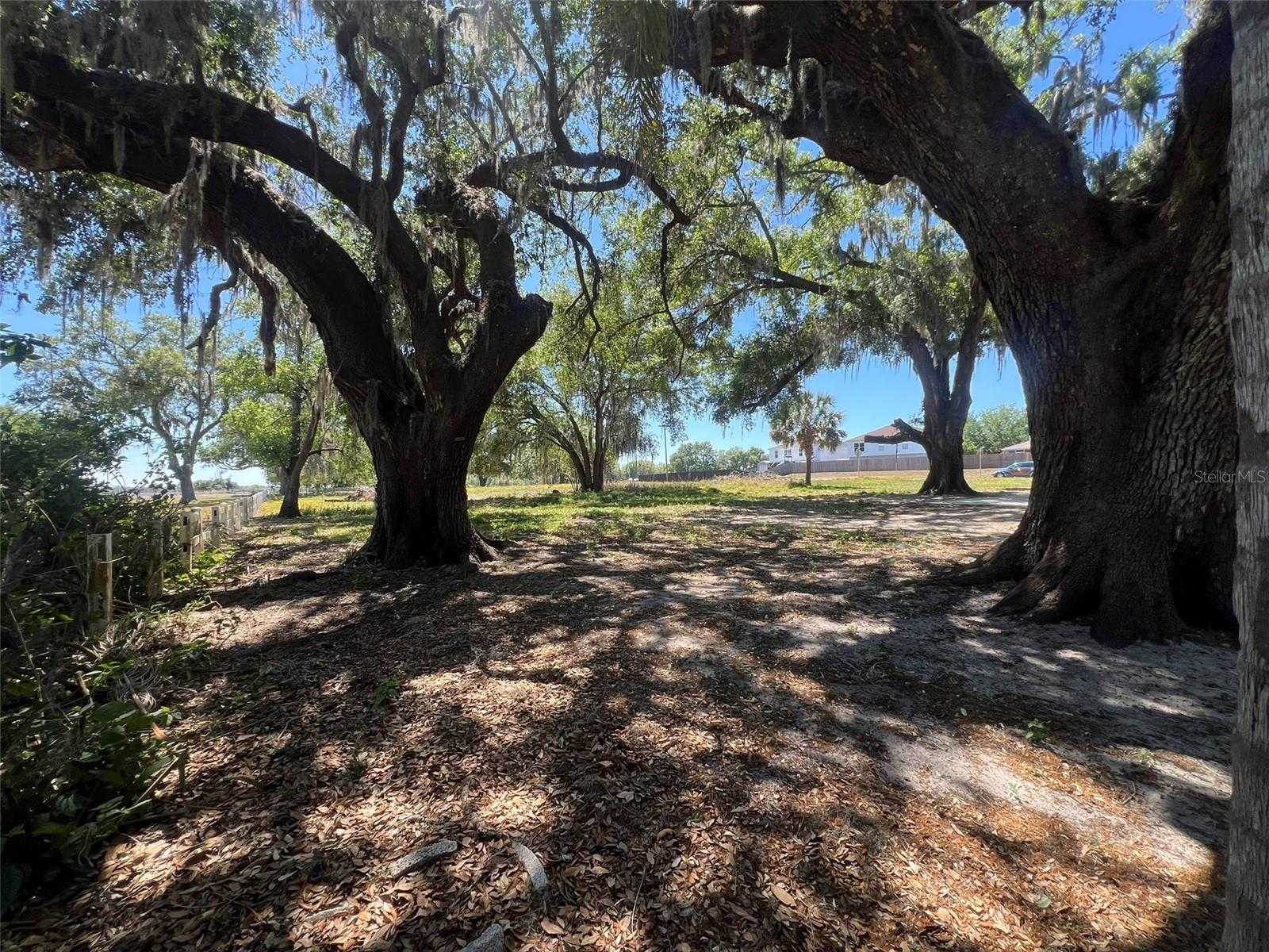 180 OLD CONNERSVILLE RD, BARTOW, FL, 33830