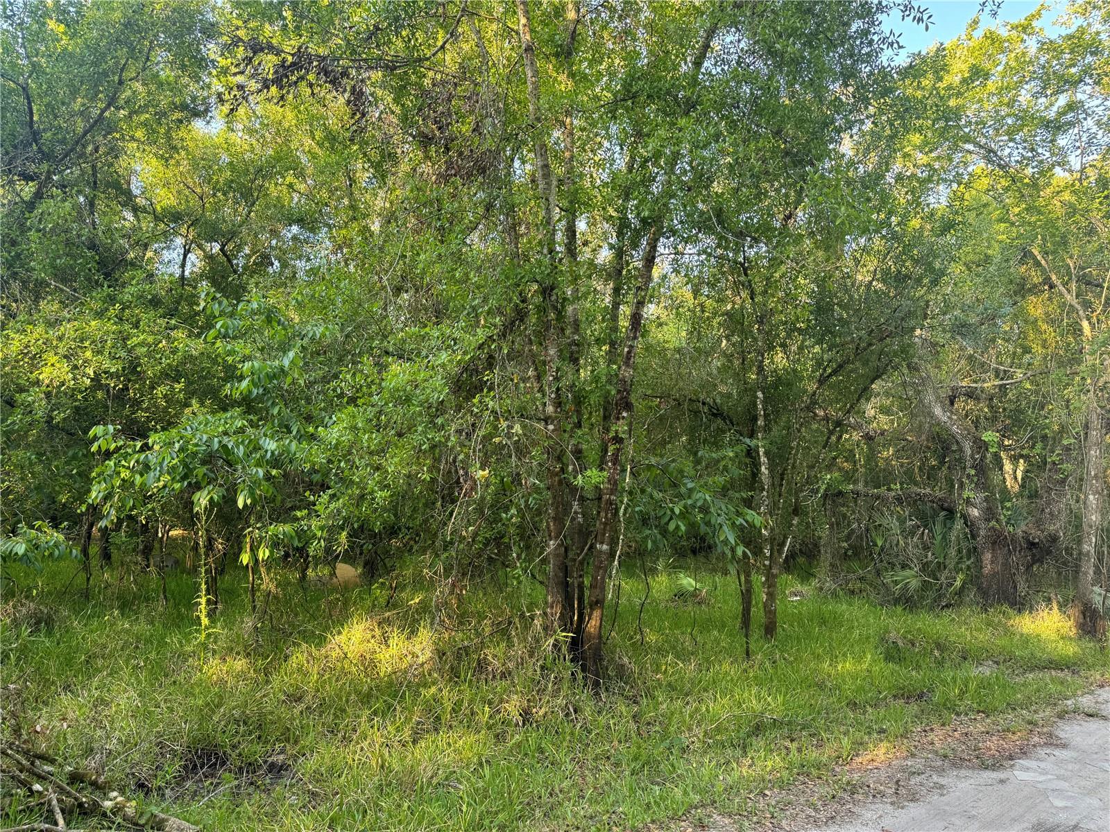 NE RIVER RIDGE AVE, ARCADIA, FL, 34266