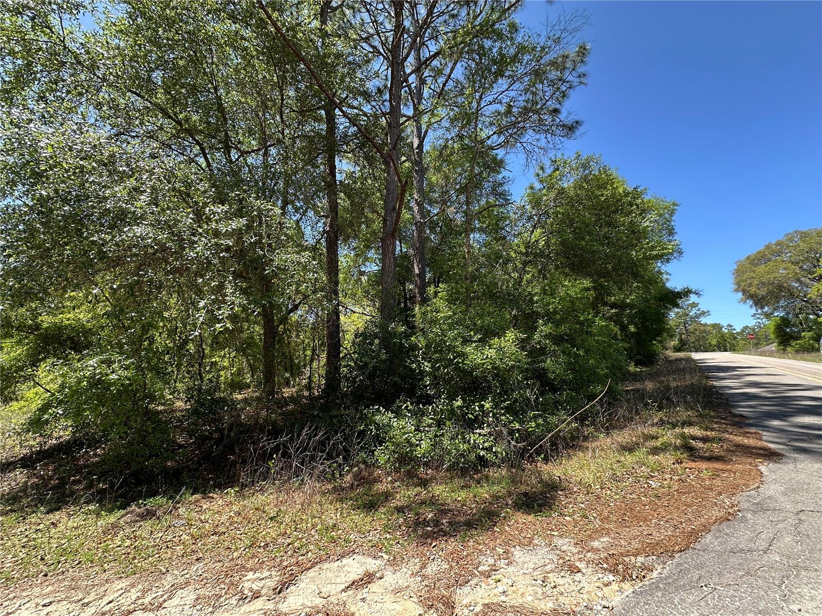 TBD NE BOROS DR & 11TH PL, WILLISTON, FL, 32696