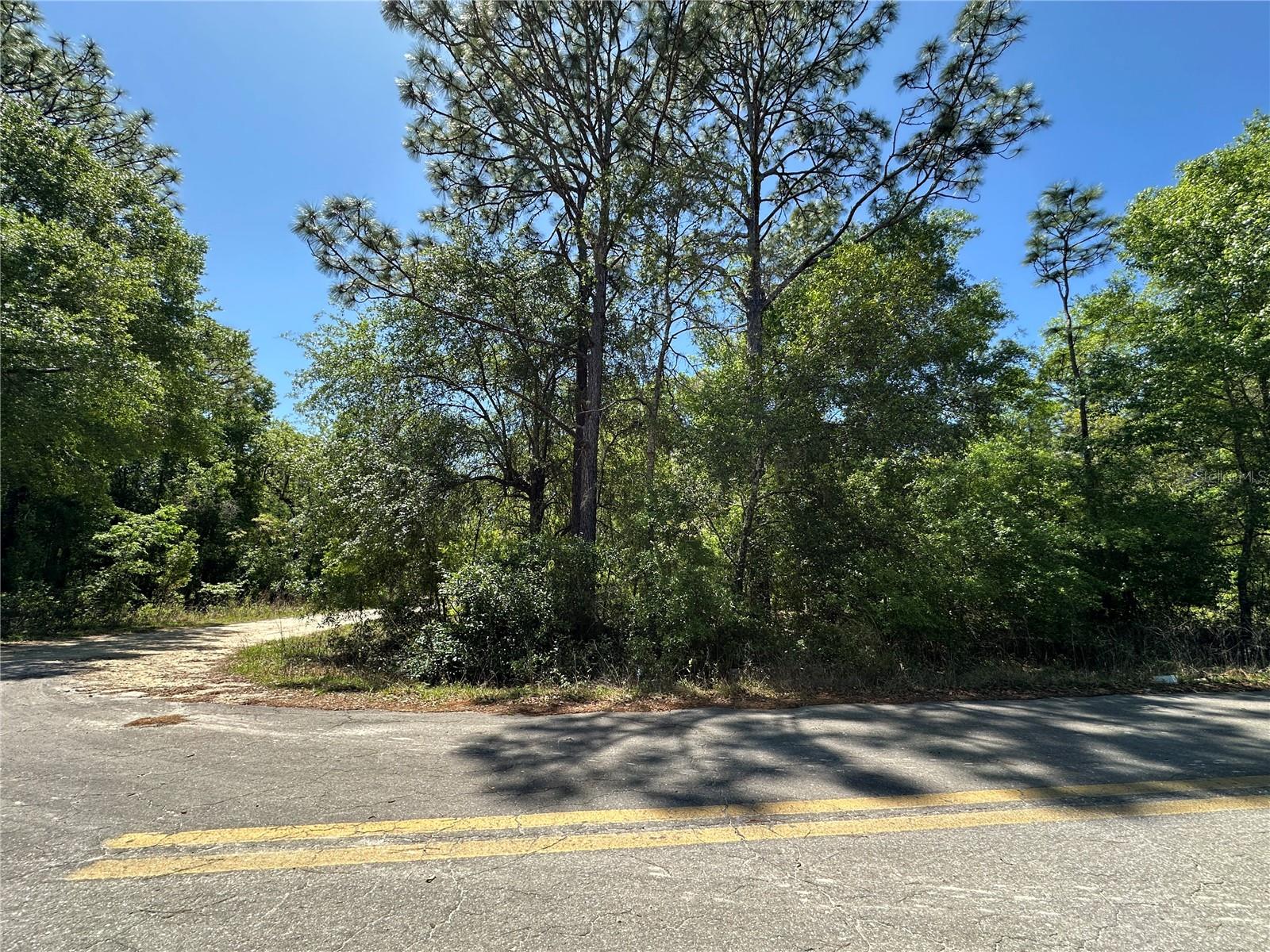 TBD NE BOROS DR & 11TH PL, WILLISTON, FL, 32696