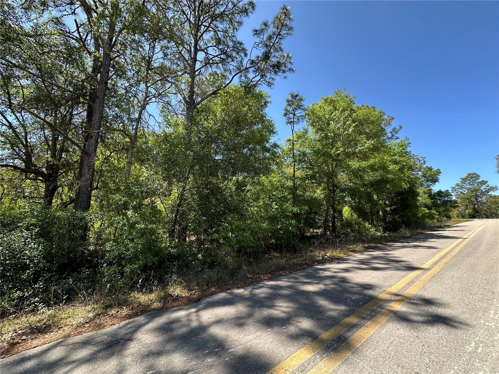 TBD NE BOROS DR & 11TH PL, WILLISTON, FL, 32696