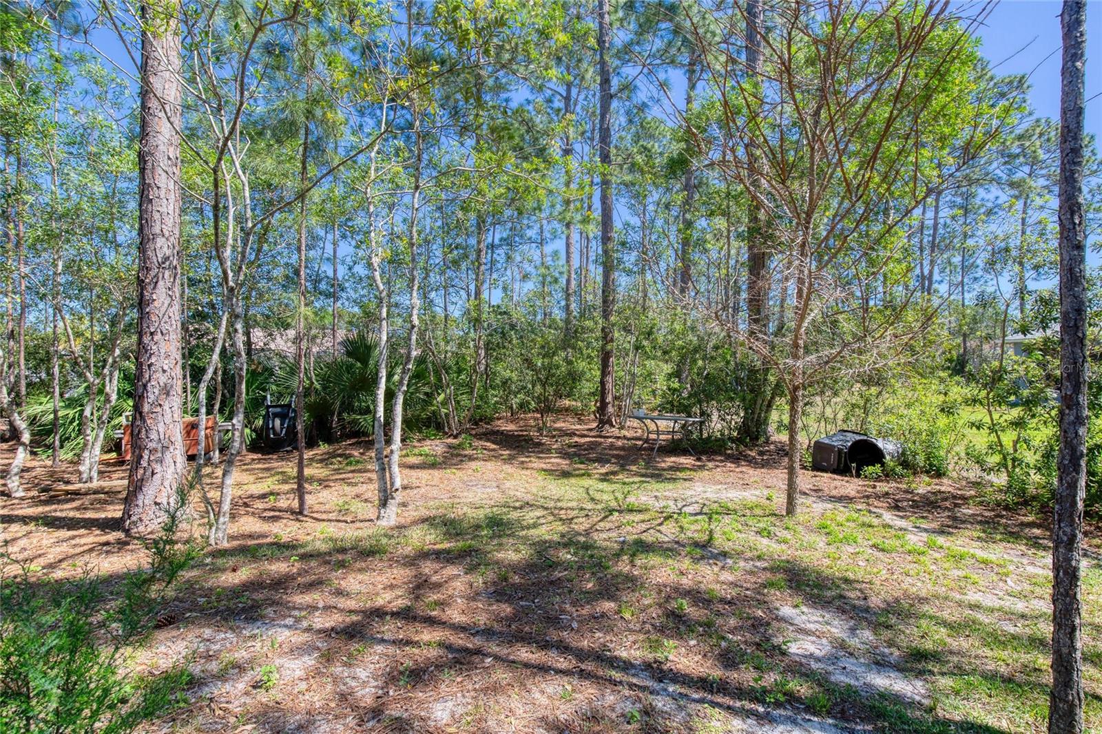 30 RED BIRCH LN, PALM COAST, FL, 32164