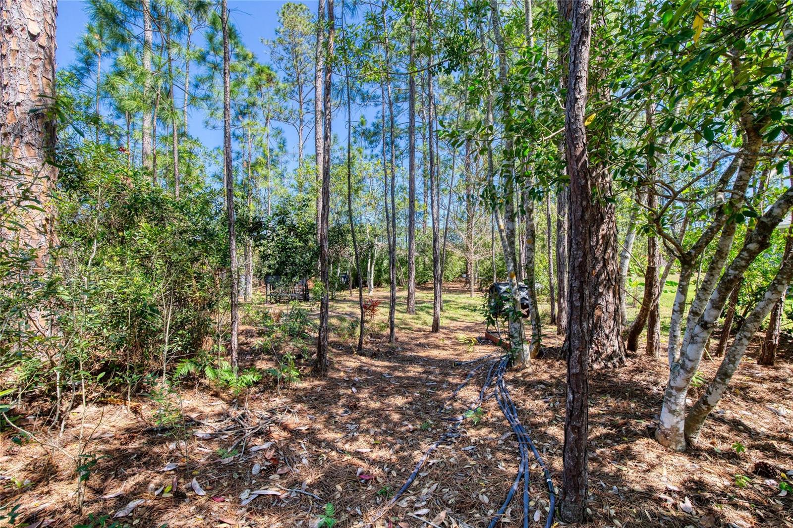 30 RED BIRCH LN, PALM COAST, FL, 32164