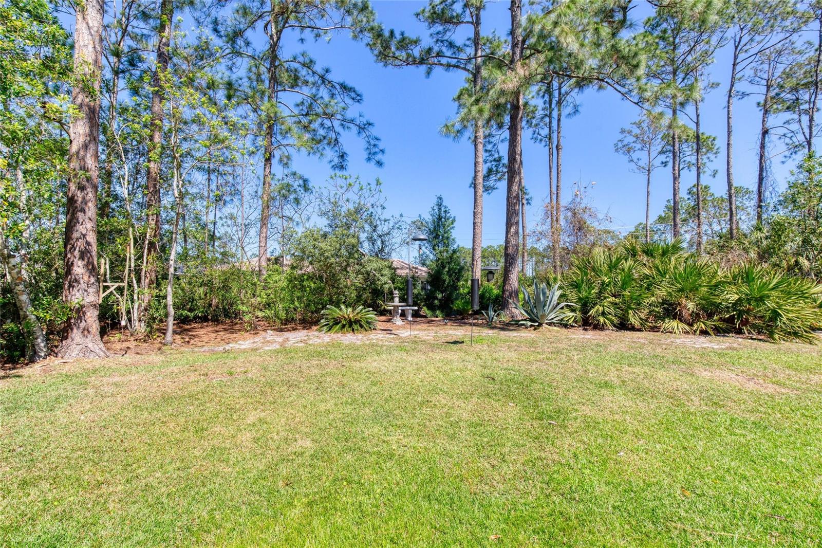 30 RED BIRCH LN, PALM COAST, FL, 32164
