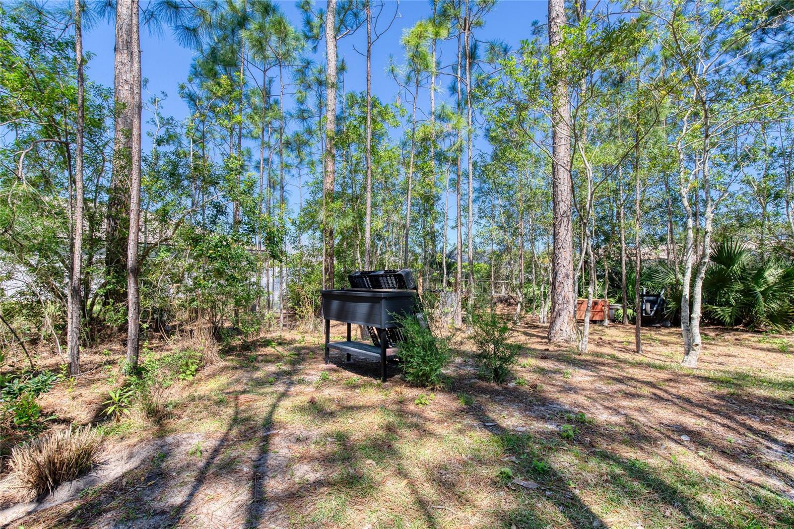 30 RED BIRCH LN, PALM COAST, FL, 32164