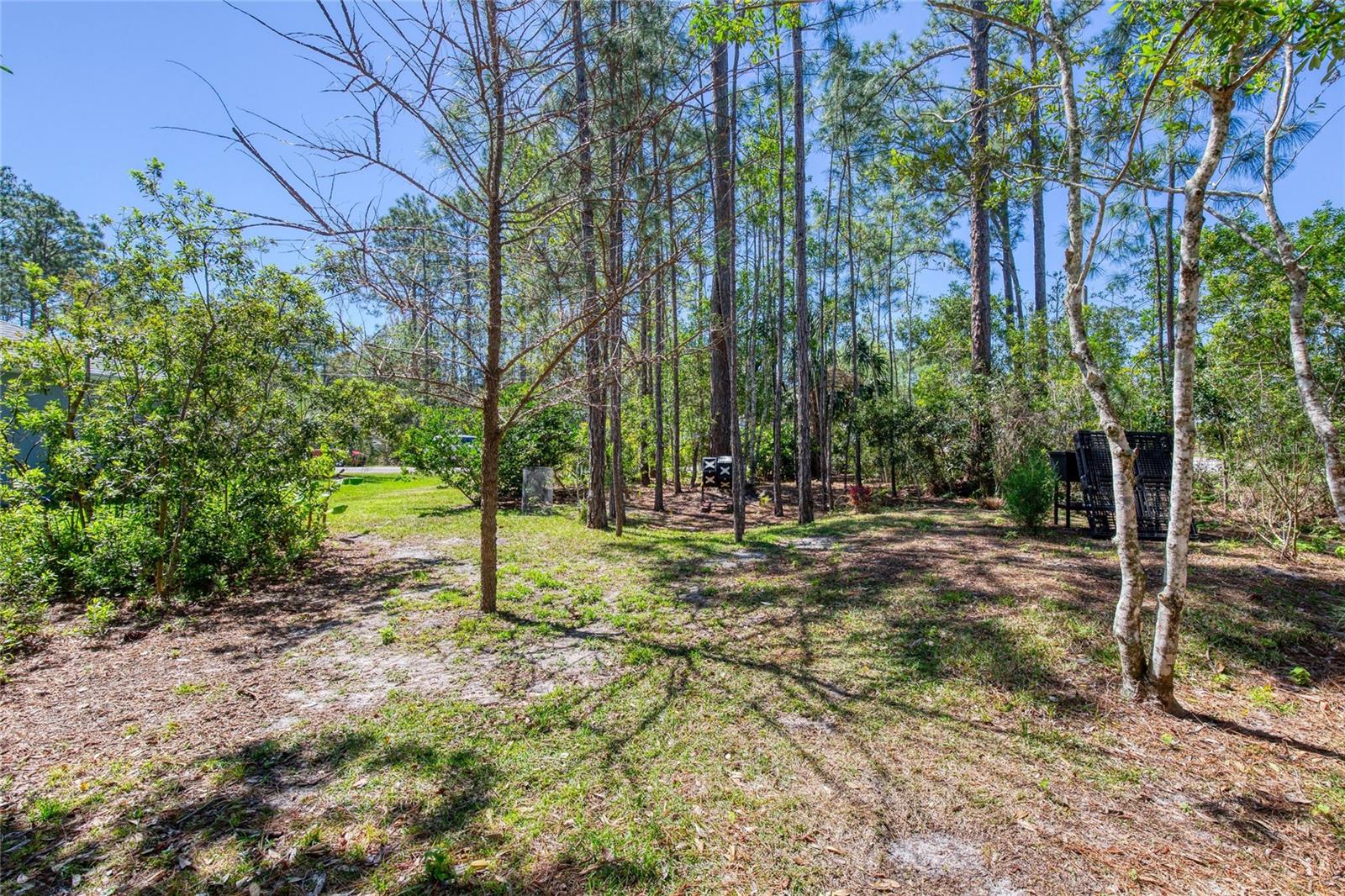 30 RED BIRCH LN, PALM COAST, FL, 32164