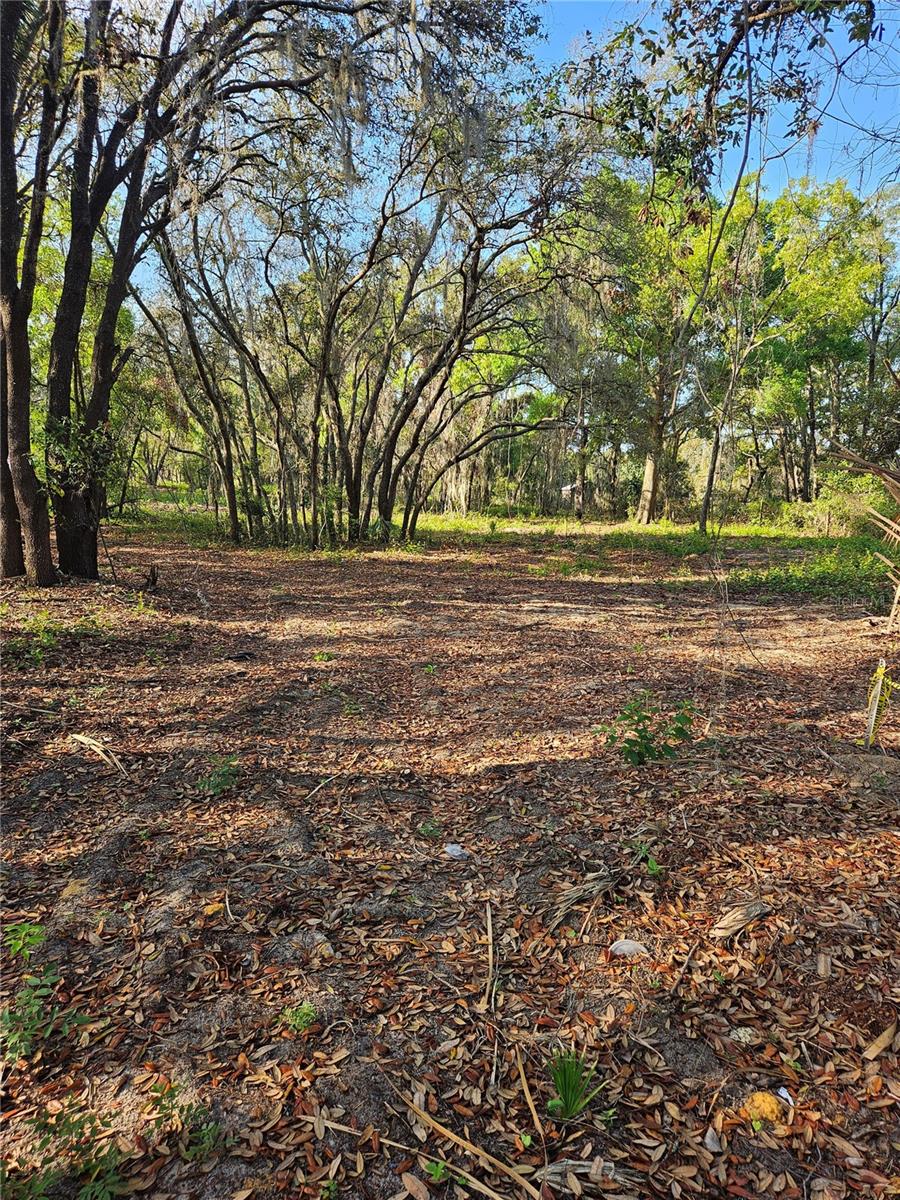 22160 OBRIEN RD, HOWEY IN THE HILLS, FL, 34737