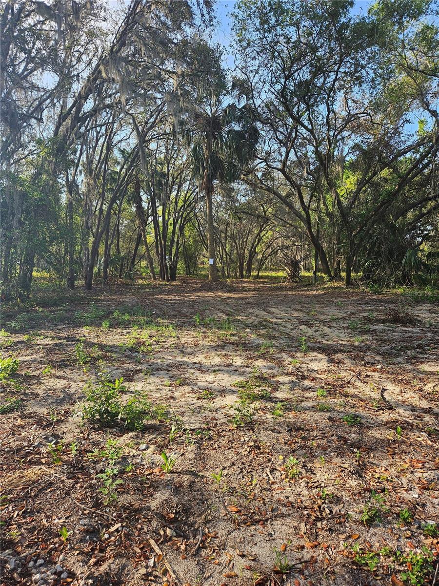22160 OBRIEN RD, HOWEY IN THE HILLS, FL, 34737