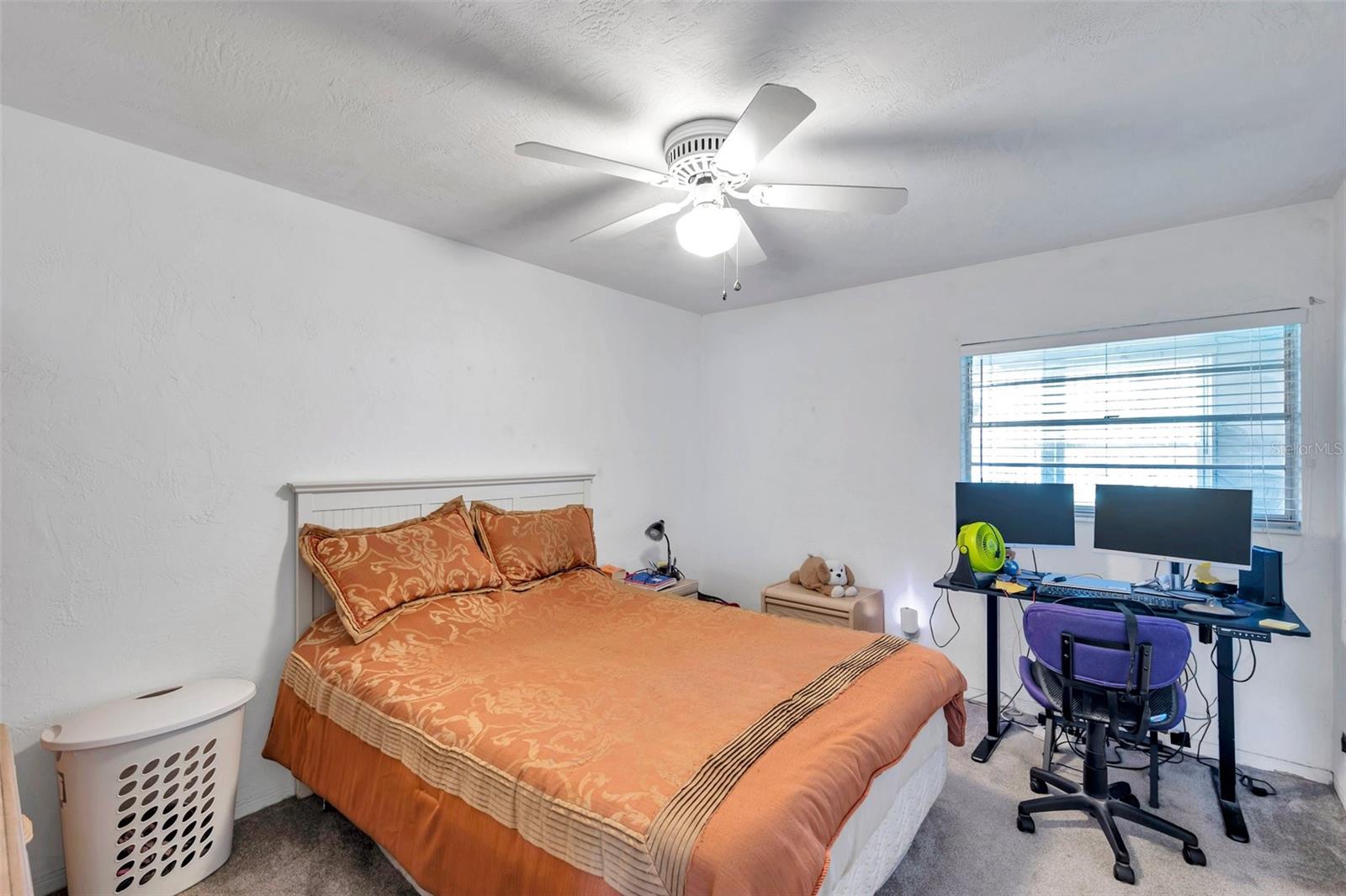 2452 BRAZILIA DR #32, CLEARWATER, FL, 33763
