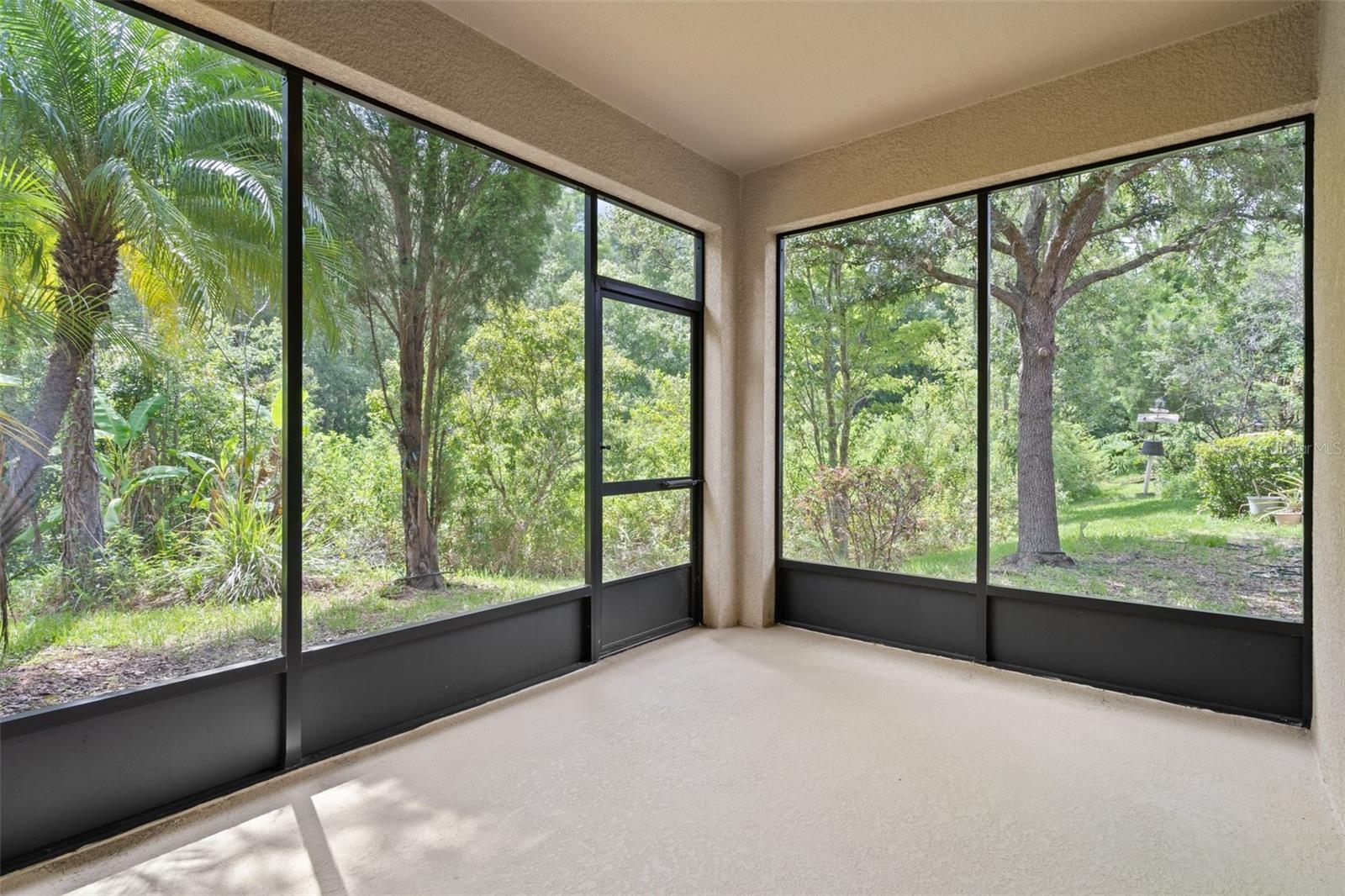 16030 BELLA WOODS DR, TAMPA, FL, 33647