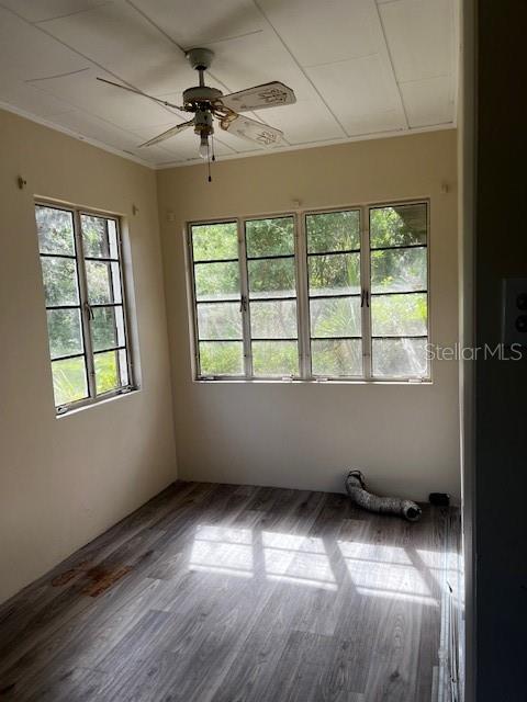 2112 HOLLYWOOD AVE, EUSTIS, FL, 32726
