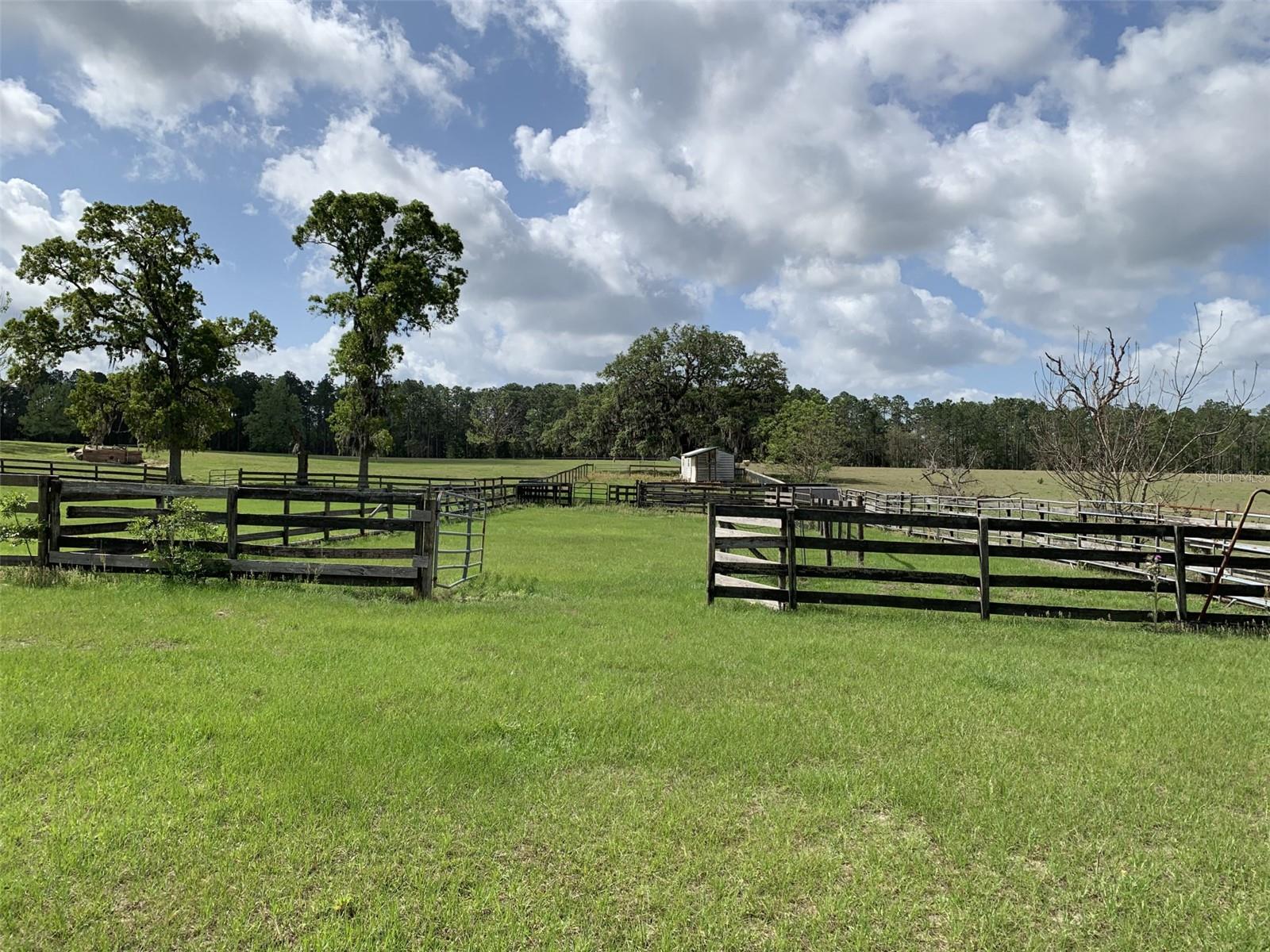 13590 SE 127TH PL, DUNNELLON, FL, 34431