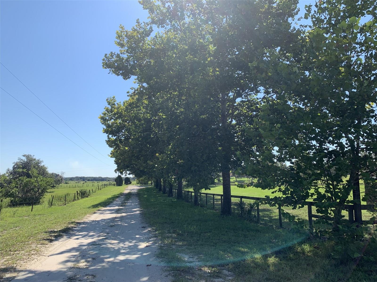 13590 SE 127TH PL, DUNNELLON, FL, 34431