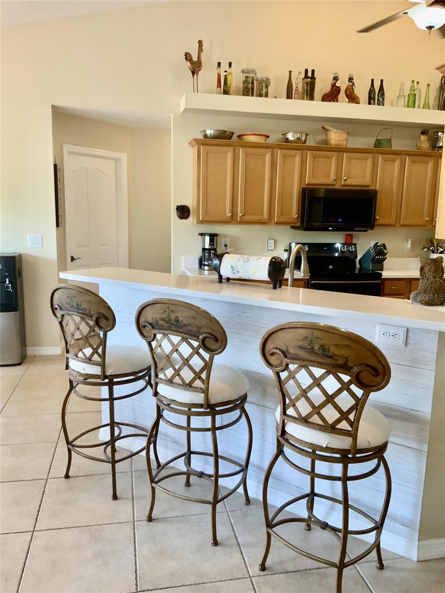 13590 SE 127TH PL, DUNNELLON, FL, 34431