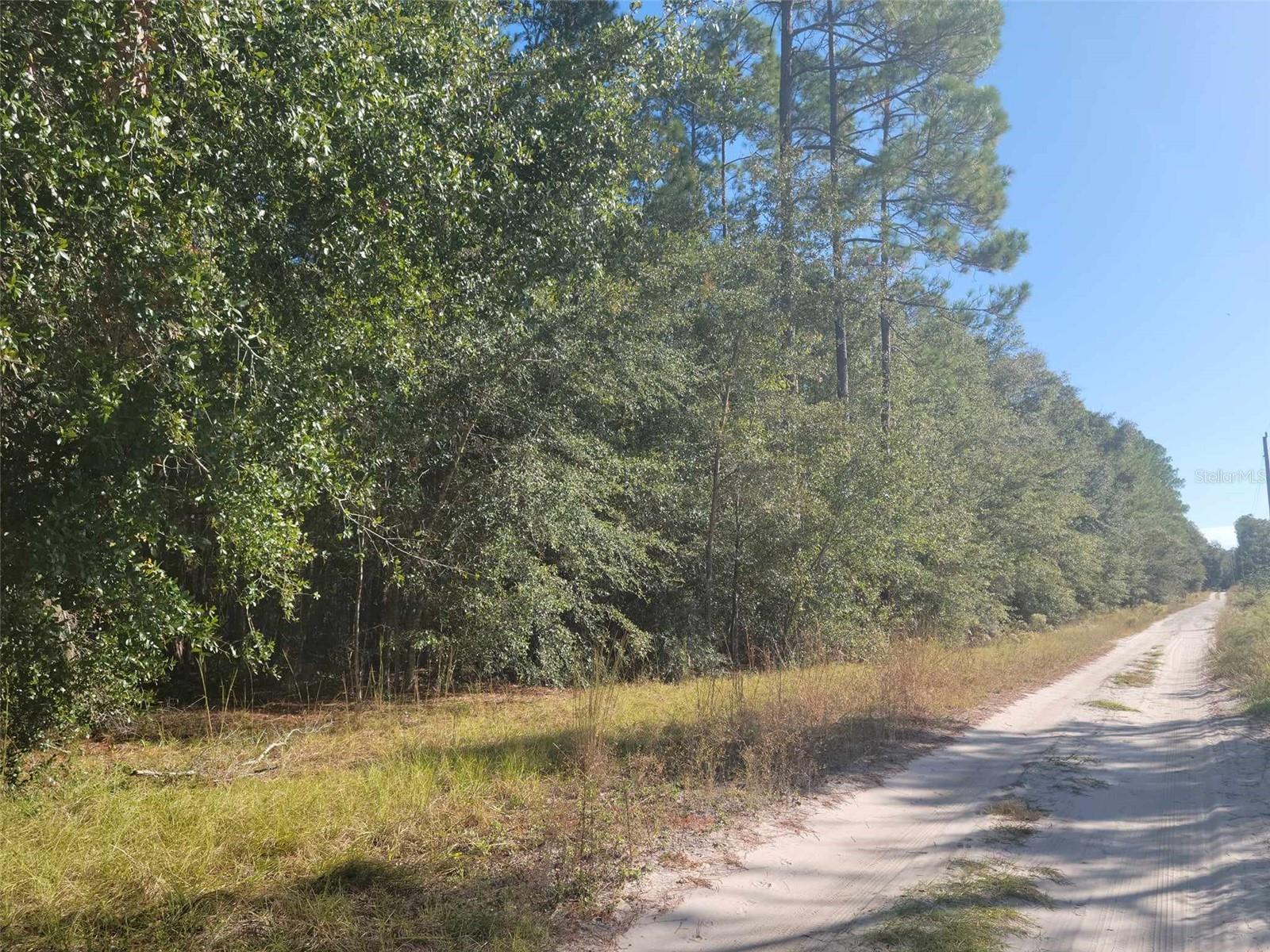SW 61ST PLACE, NEWBERRY, FL, 32669