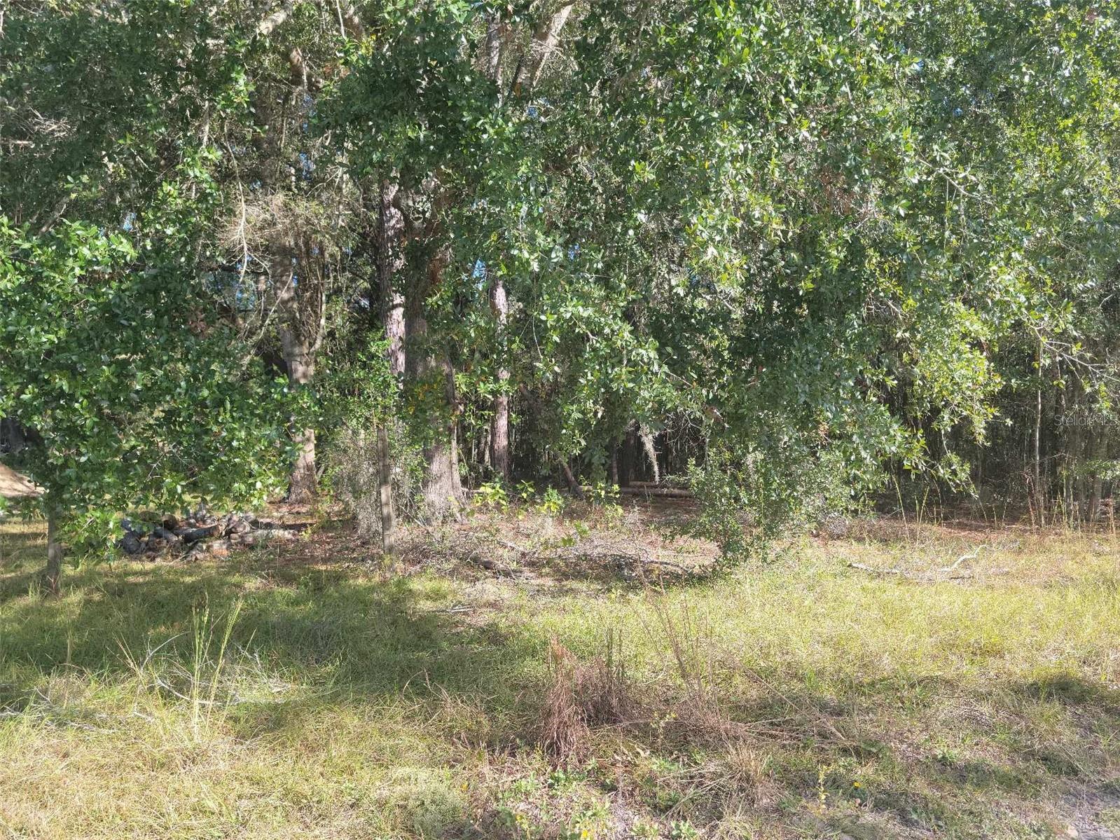 SW 61ST PLACE, NEWBERRY, FL, 32669