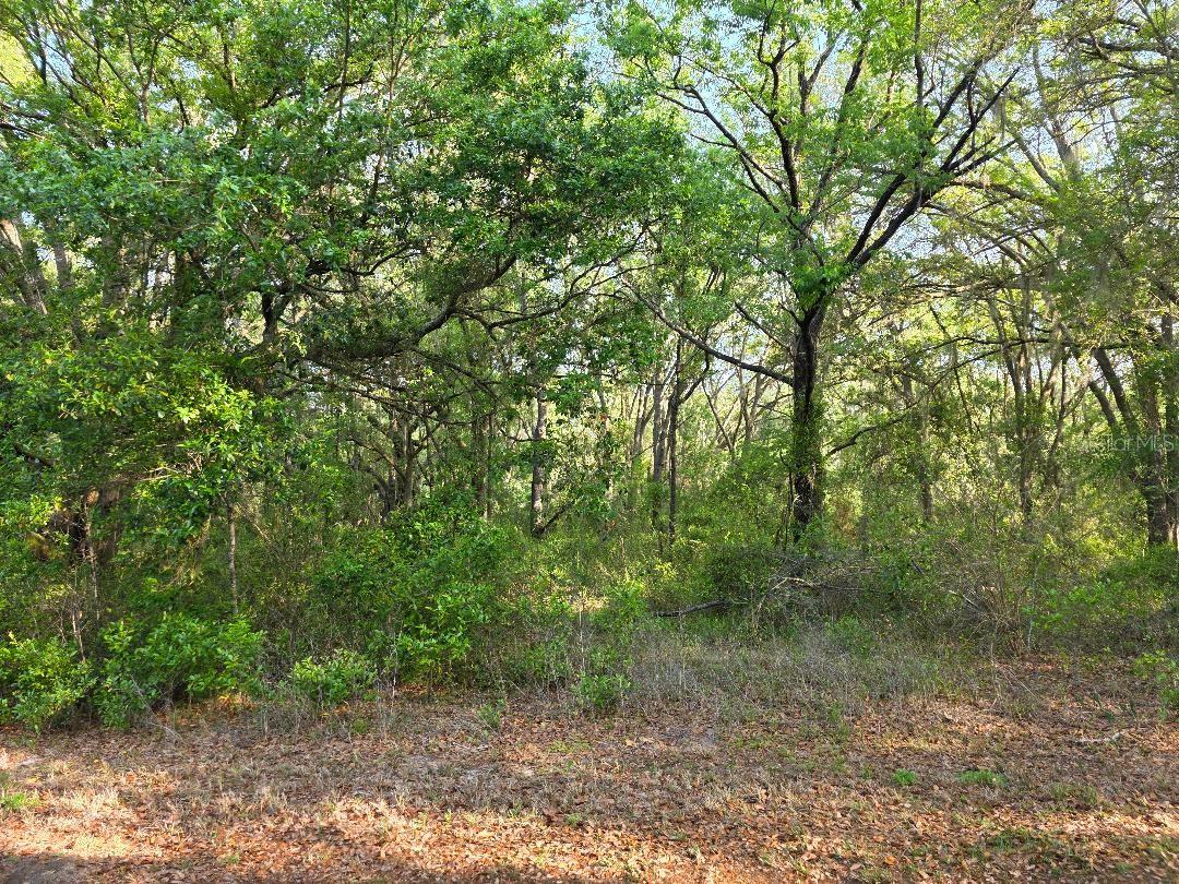 SW SEA CLIFF DRIVE, DUNNELLON, FL, 34431
