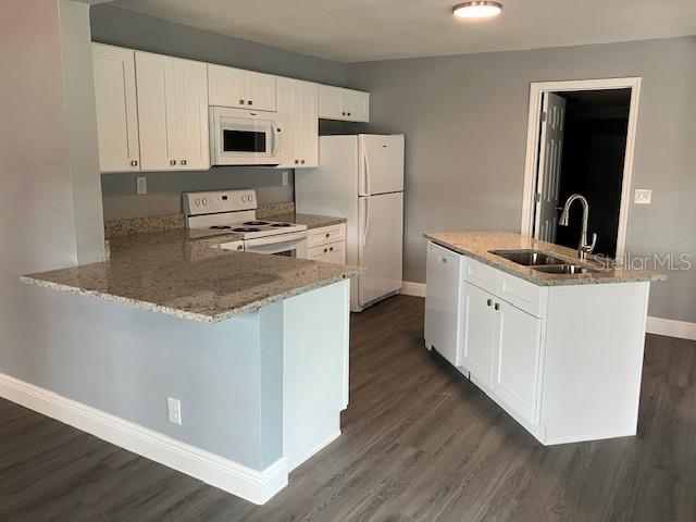 1219 SNOWBERGER AVE, LEESBURG, FL, 34748