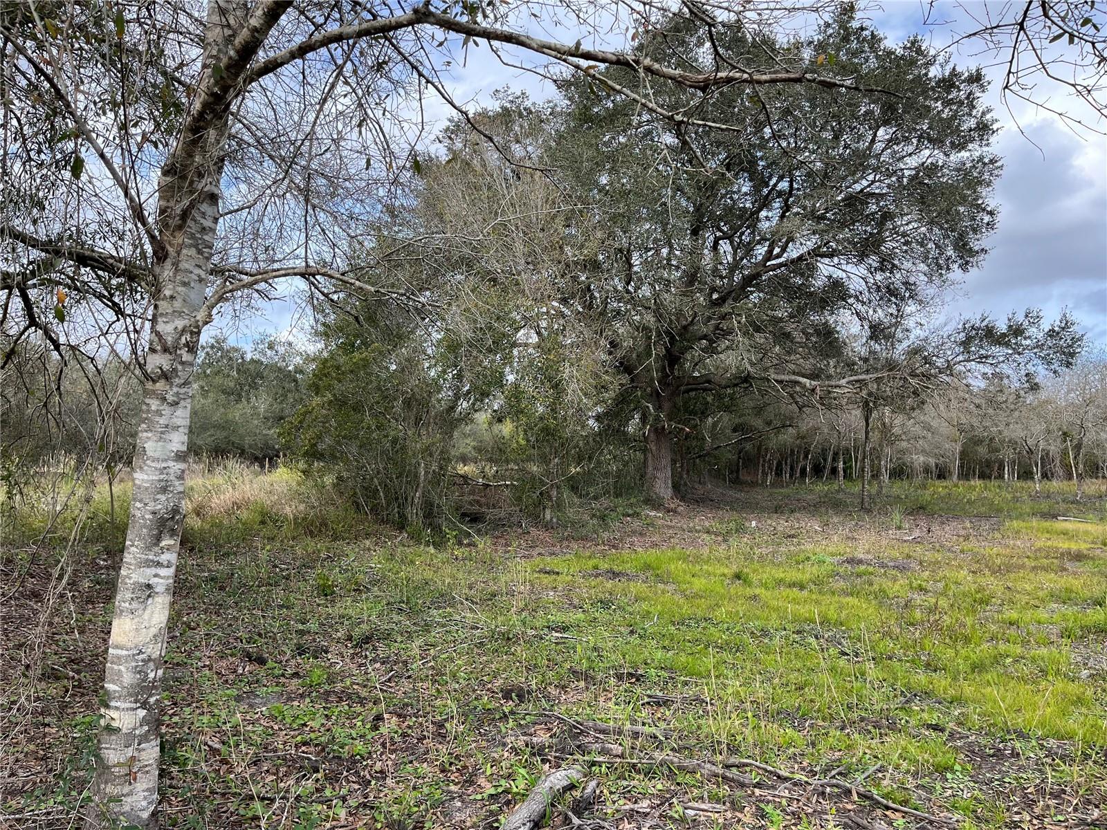 21581 NW 256TH ST, OKEECHOBEE, FL, 34972