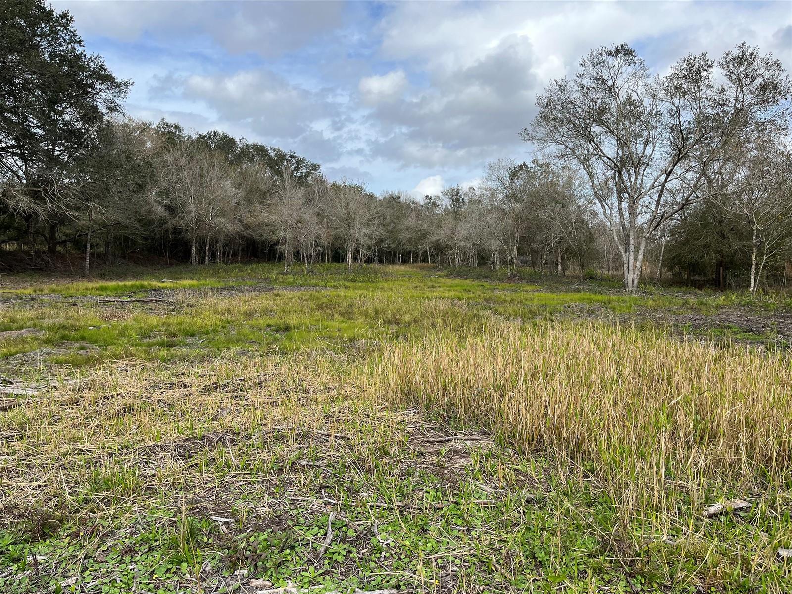 21581 NW 256TH ST, OKEECHOBEE, FL, 34972