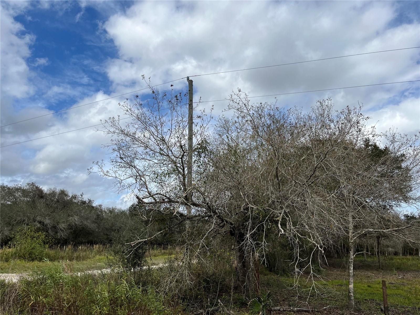 21581 NW 256TH ST, OKEECHOBEE, FL, 34972