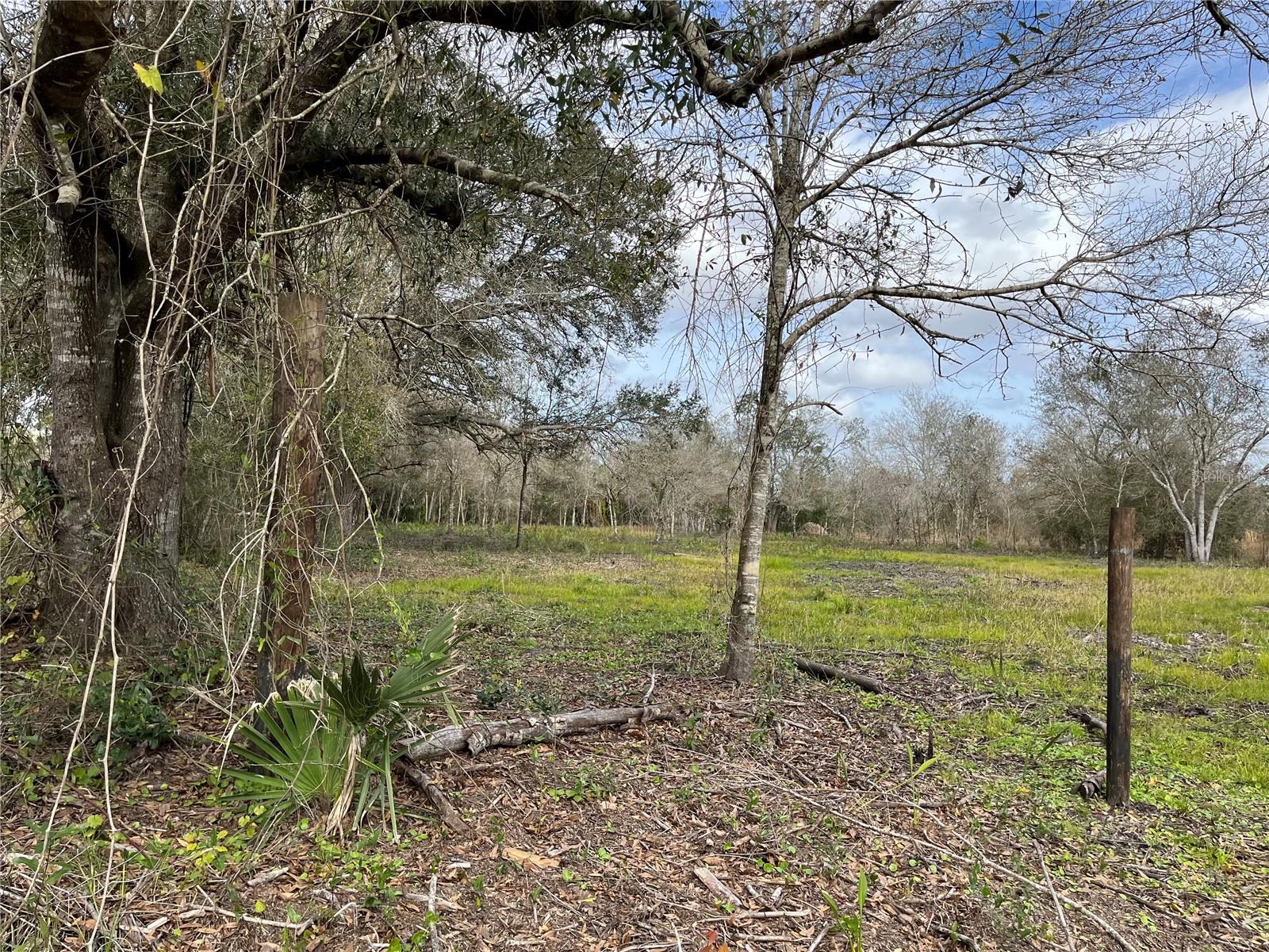 21581 NW 256TH ST, OKEECHOBEE, FL, 34972