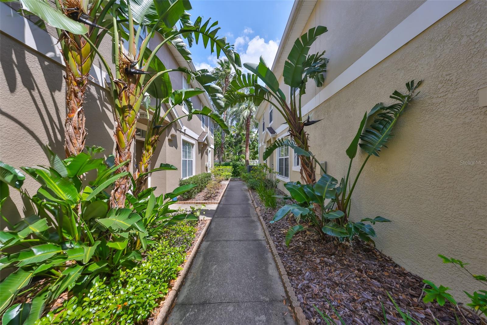 7001 INTERBAY BLVD #117, TAMPA, FL, 33616