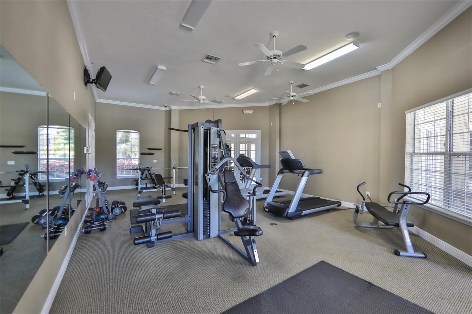 7001 INTERBAY BLVD #117, TAMPA, FL, 33616