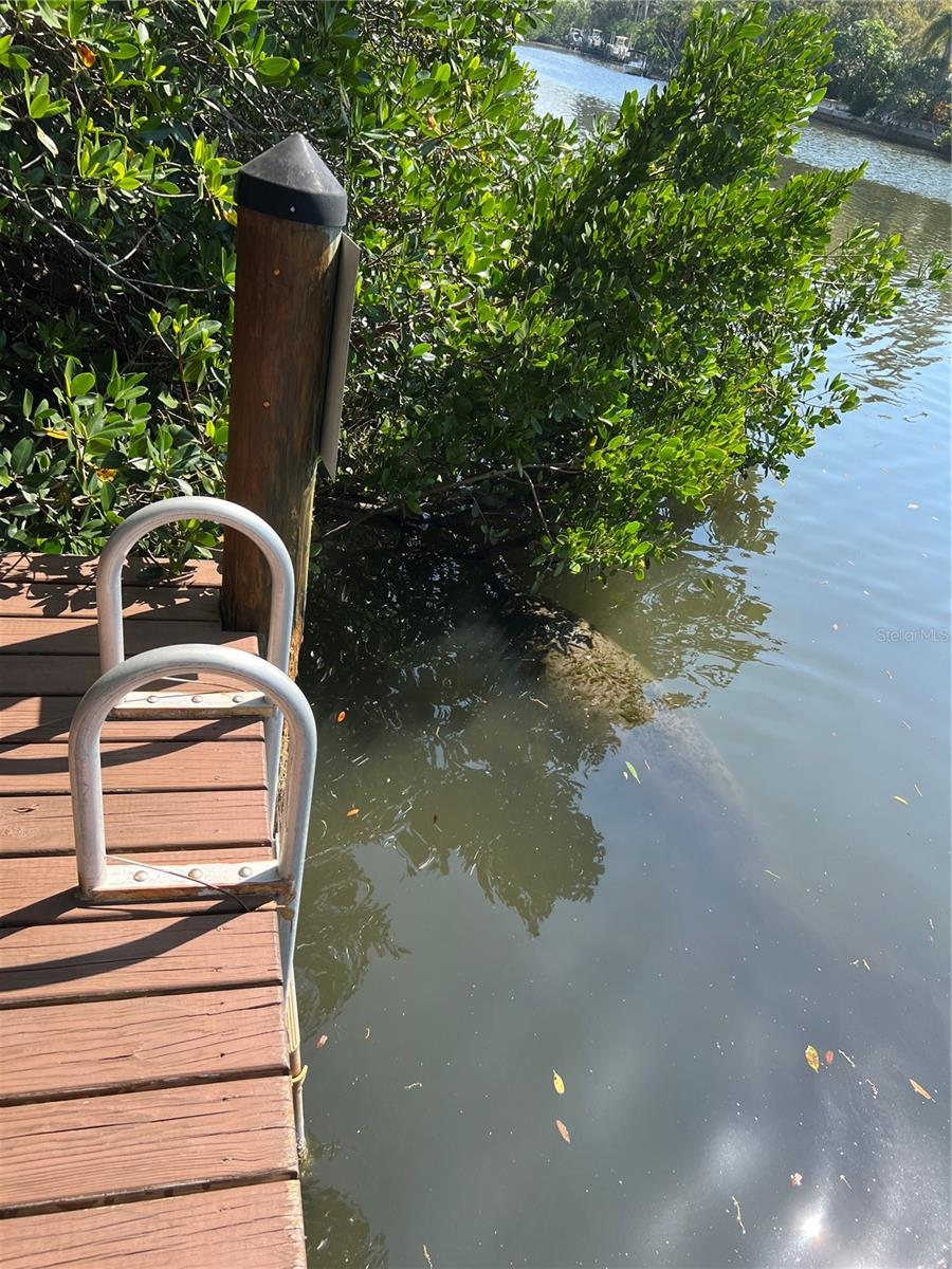 850 S TAMIAMI TRL #302, SARASOTA, FL, 34236