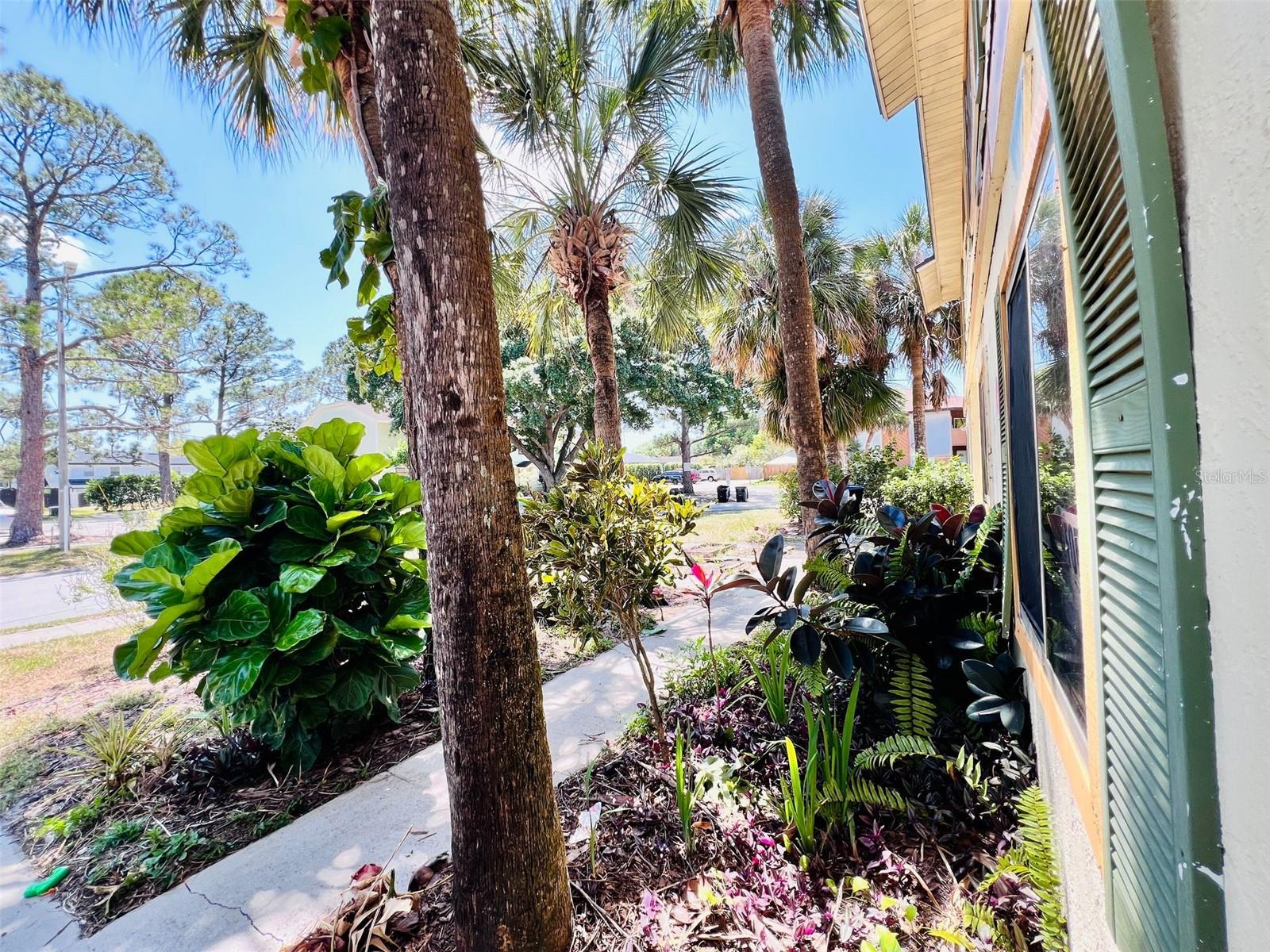 5517 DECATUR ST #5517, ORLANDO, FL, 32807