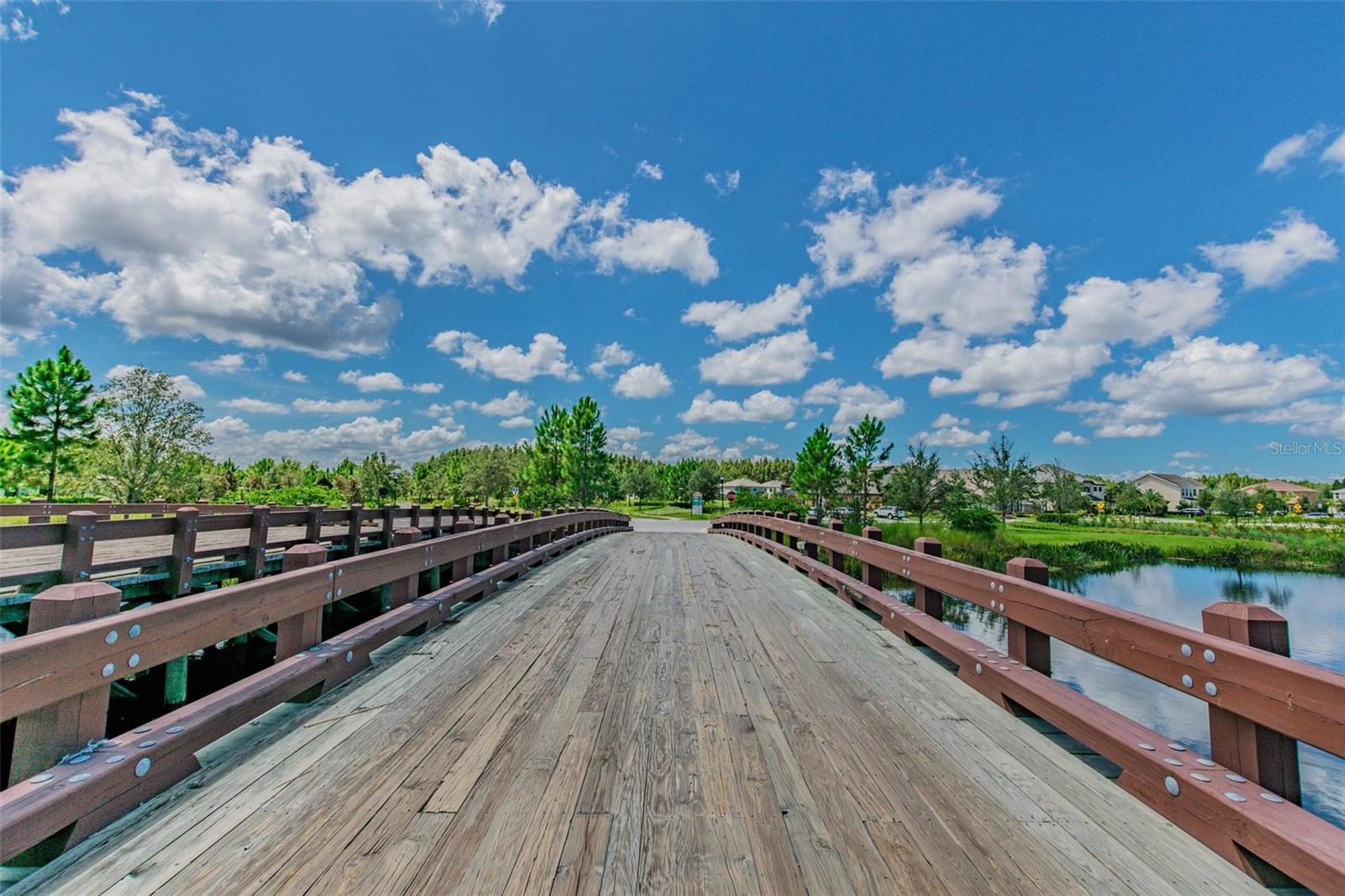 32721 BROOKS HAWK LN, WESLEY CHAPEL, FL, 33543